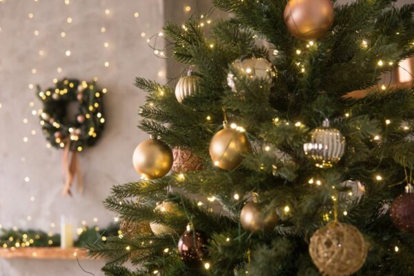 Erster Christtag | Weihnachten